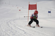 Ski Racer-2
