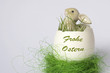 Osterhase im Ei