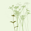 real grass silhouette - summer background
