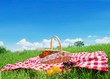 Picnic