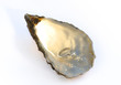 engagement rind and mussel