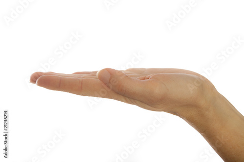 Photo: Handfläche - präsentieren Handfläche - präsentieren