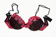 brassiere