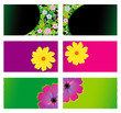 Business cards templates or banner backgrounds