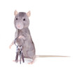 ratounette clefs en main