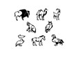 animals