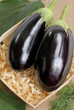 Eggplants.