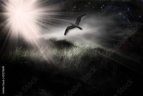 Illustration: Bird in Flight Bird in Flight