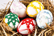 easter eggs in nest