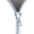 close up of zipper vector background