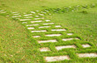 fork of path with green grass in the park fork of path with green grass in the park