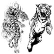vector illustration tiger tattoo vector illustration tiger tattoo