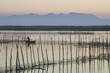 Pescador