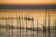 L'Albufera