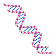 vector dna structure isolated vector dna structure isolated