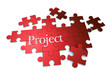 Project puzzle in red Project puzzle in red