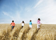 Boy and girls walking away in wheat field
