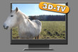 3d tv