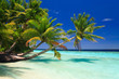 Tropical Paradise at Maldives