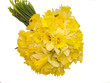 bouquet de printemps