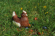Poule en chocolat Poule en chocolat