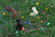 Lapins et oeufs en chocolat Lapins et oeufs en chocolat