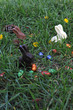 Lapins et oeufs en chocolat Lapins et oeufs en chocolat