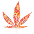 marijuana leaf