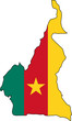 cameroun flag cameroun flag