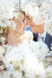 Kissing couple