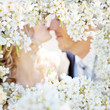Kissing couple