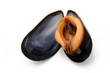 Moule
