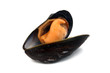 Moule