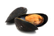 Moules