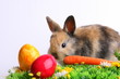 Osterhase mit Eiern