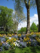 le parc des promenades le parc des promenades