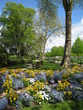 le parc des promenades et ses bancs le parc des promenades et ses bancs