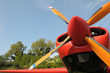 Acrobatic prop plane detail