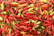 Fresh Red And Yellow-green Chili Peppers