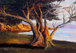 Quadro Oil Painting Quadro Oil Painting