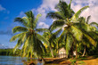 Tropical landscape Tropical landscape