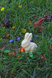 Lapin en chocolat Lapin en chocolat