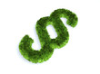 Gesetz Symbol Rasen