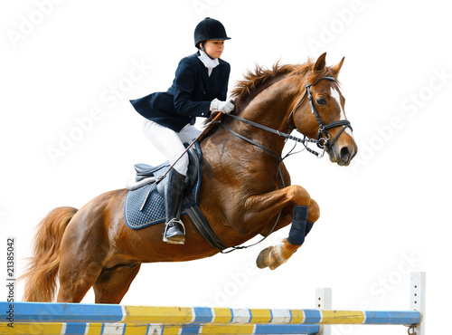 Foto: Young girl jumping with sorrel horse - isolated on white Young girl jumping with sorrel horse - isolated on white