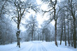 hiver