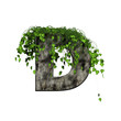 green ivy on 3d stone letter