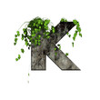 green ivy on 3d stone letter