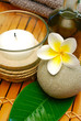 tropical spa