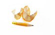 pencil in wood waste
