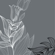 elegant floral illustration elegant floral illustration